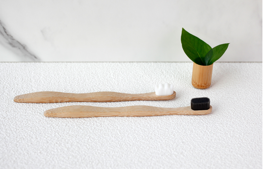 Biodegradable nano bamboo toothbrush